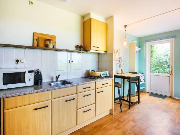 Holiday apartment with garden, pool & terrace in Groningen