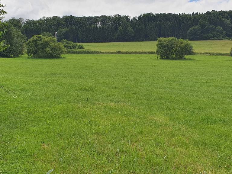 foto12