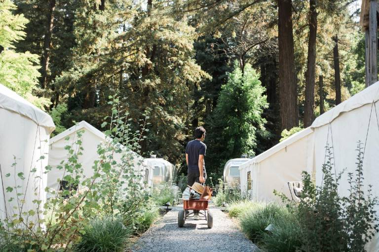 AutoCamp Russian River in Sonoma, CA