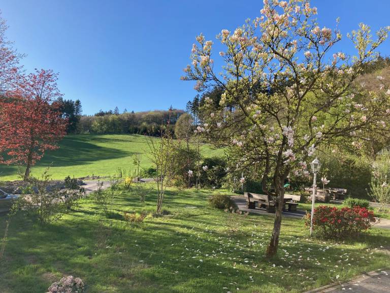 foto30