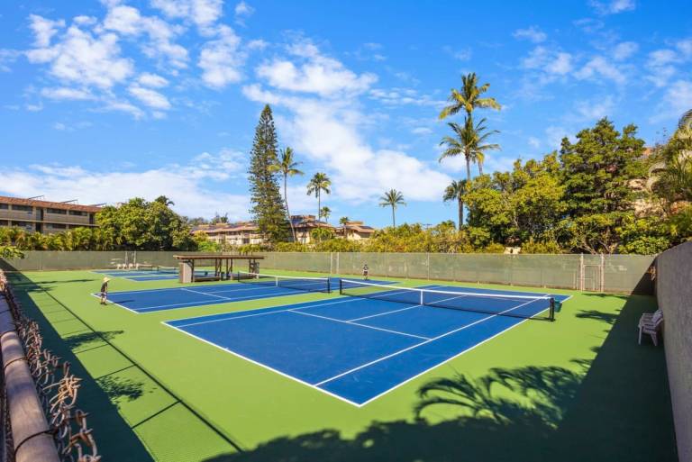 Apartment  Wailea