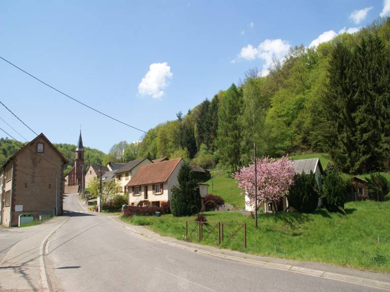 foto17