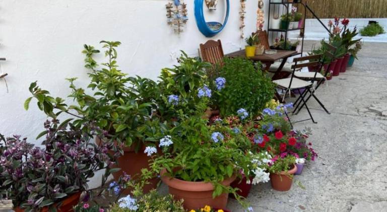 Apartment with patio & garden — photo 4