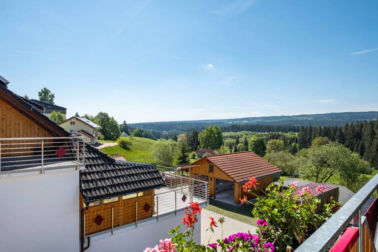 Holiday Apartment 'Wutach' with Mountain View, Shared Terrace and Wi-Fi — photo 3