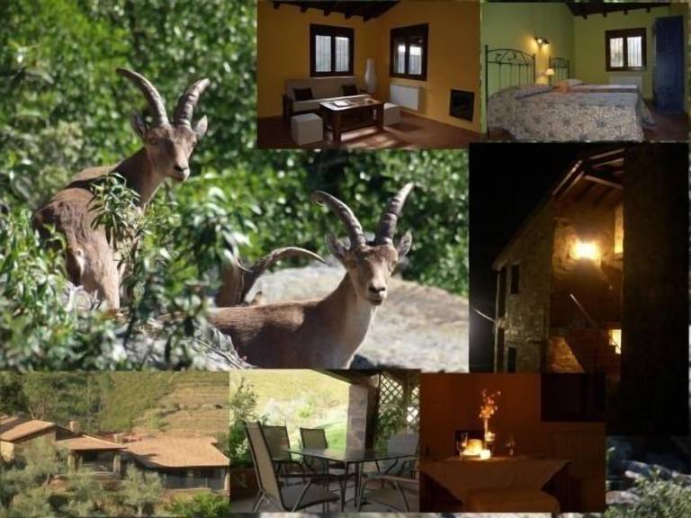 Casa rural Horcajo