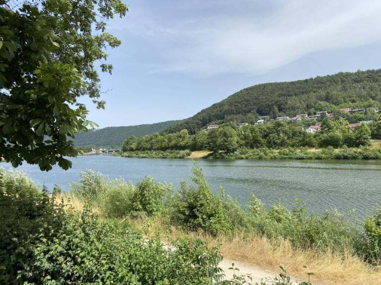 foto21