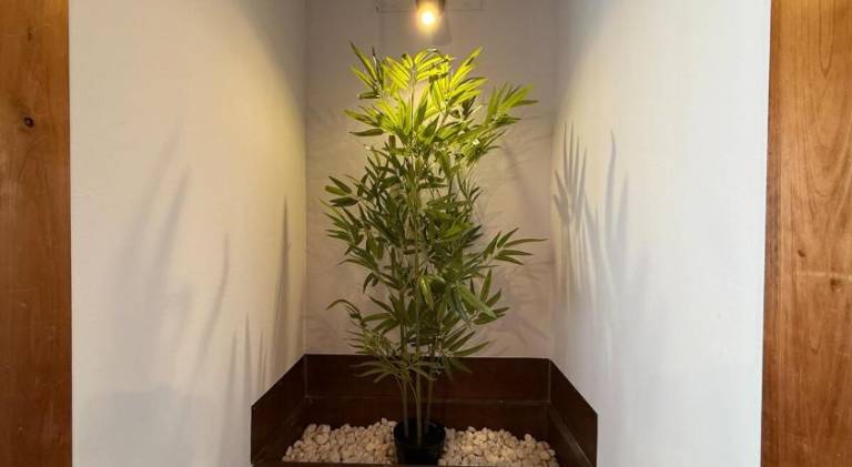 foto35