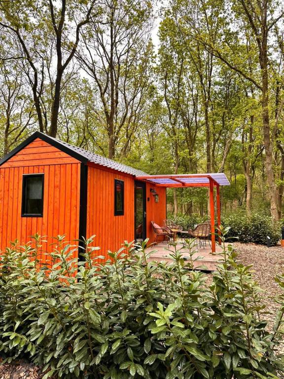 Chalet Zuidwolde