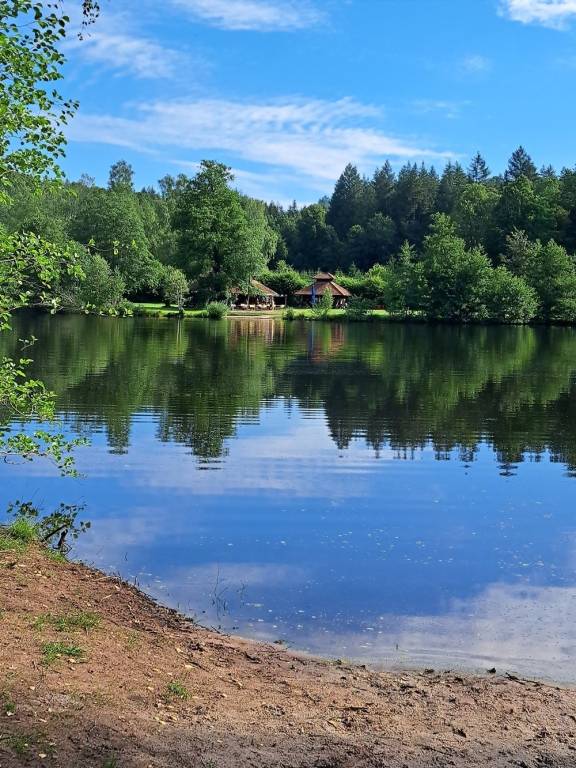 Ferienwohnung mit Hund in Schöntal, Deutschland f&uuml;r max. 2 Personen