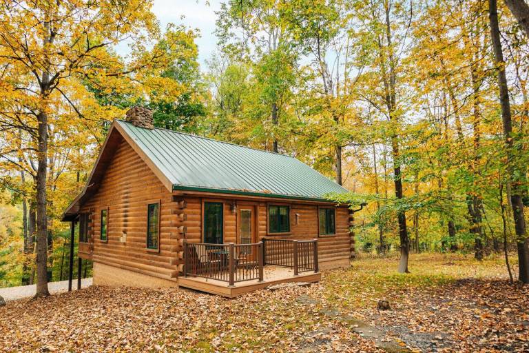 Cabin  Millersburg