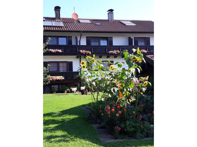 foto16