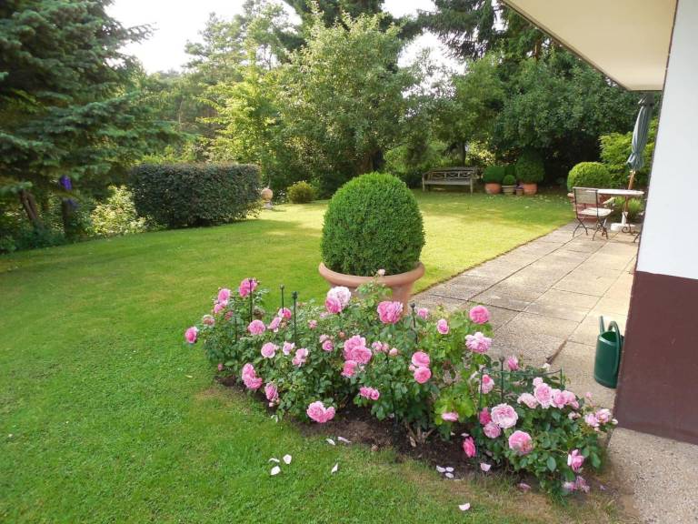 Rental apartment with terrace & garden | Nature view — photo 3