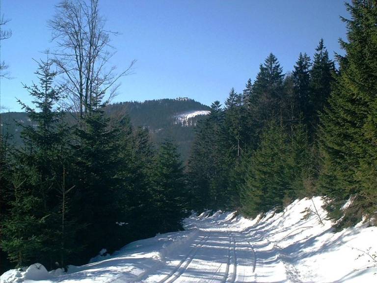foto49