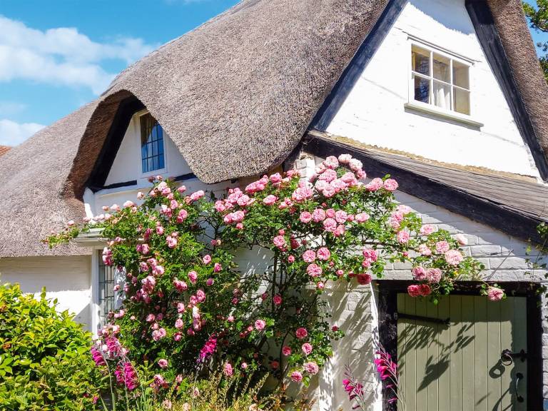 Cottage New Milton