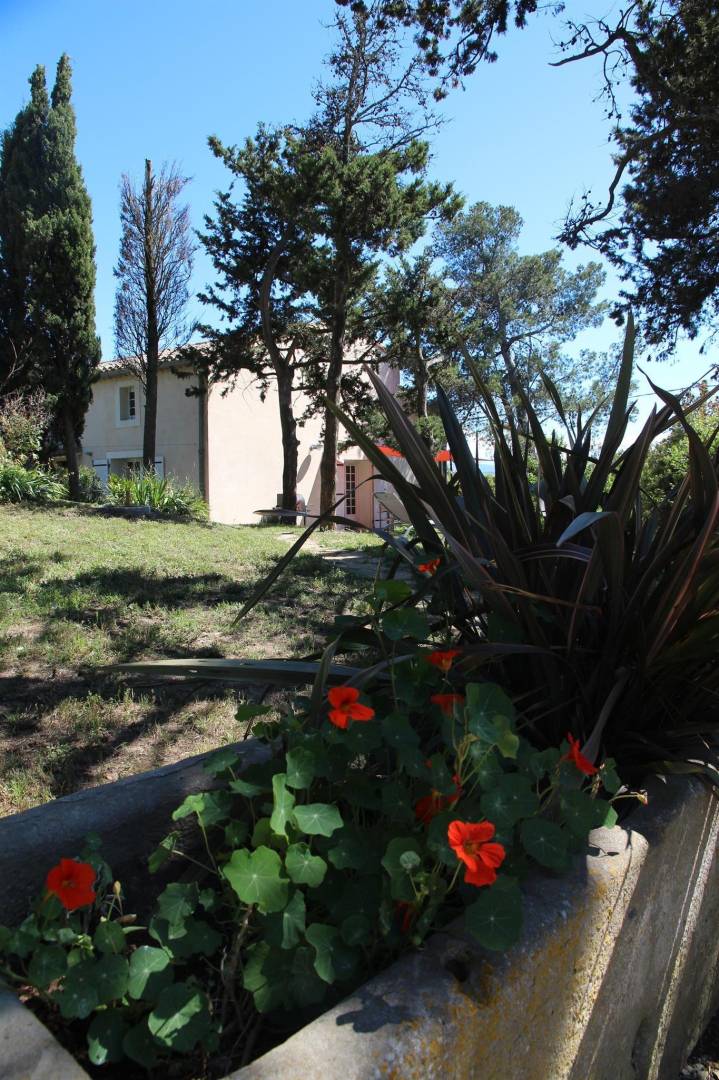 foto21