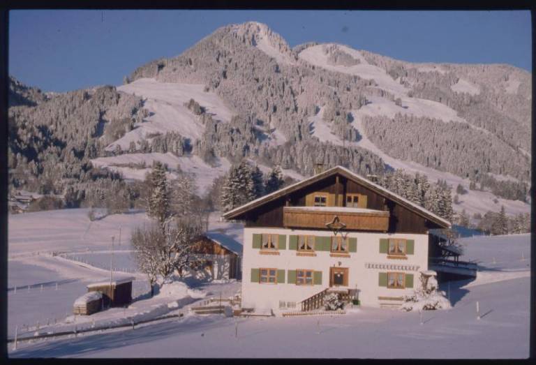 foto1