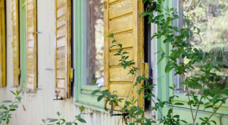 Vacation home | Dogs allowed — photo 4