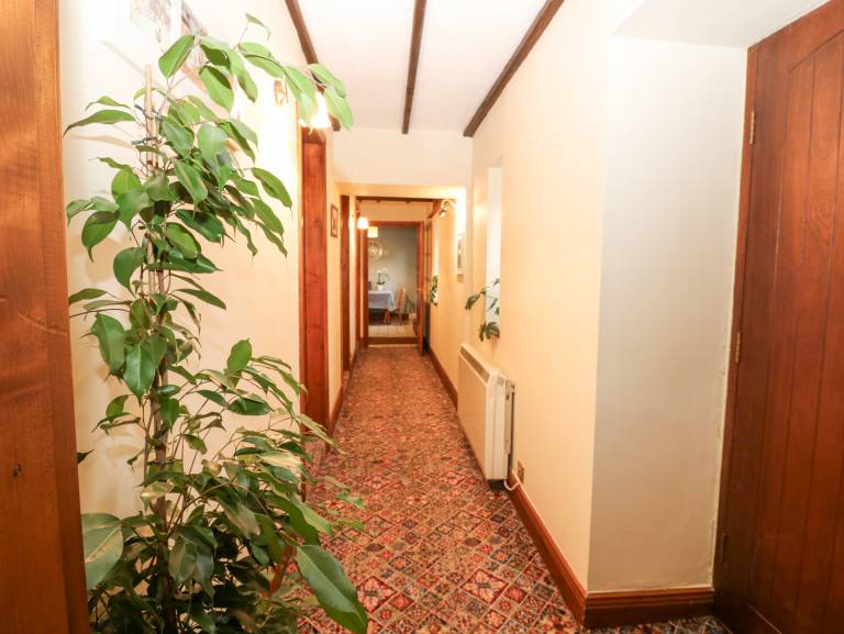 foto14