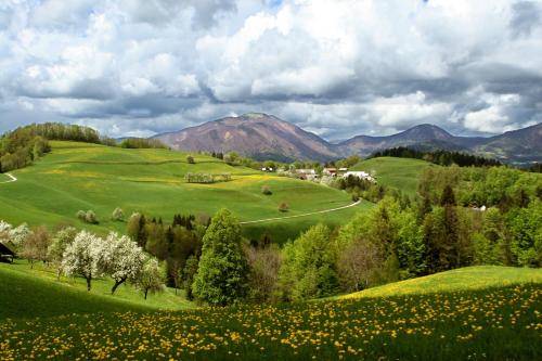 Kmetija Lavrovec