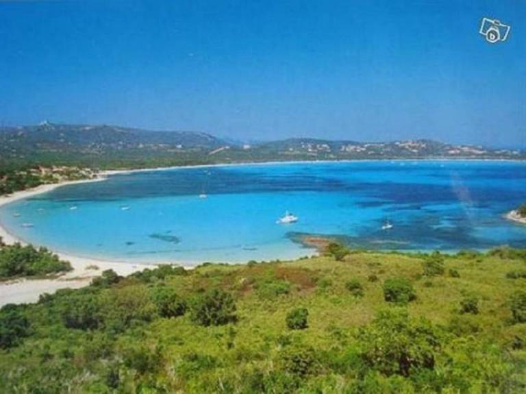 Beautiful holiday apartment with grill & patio | Pet-friendly in Sartene