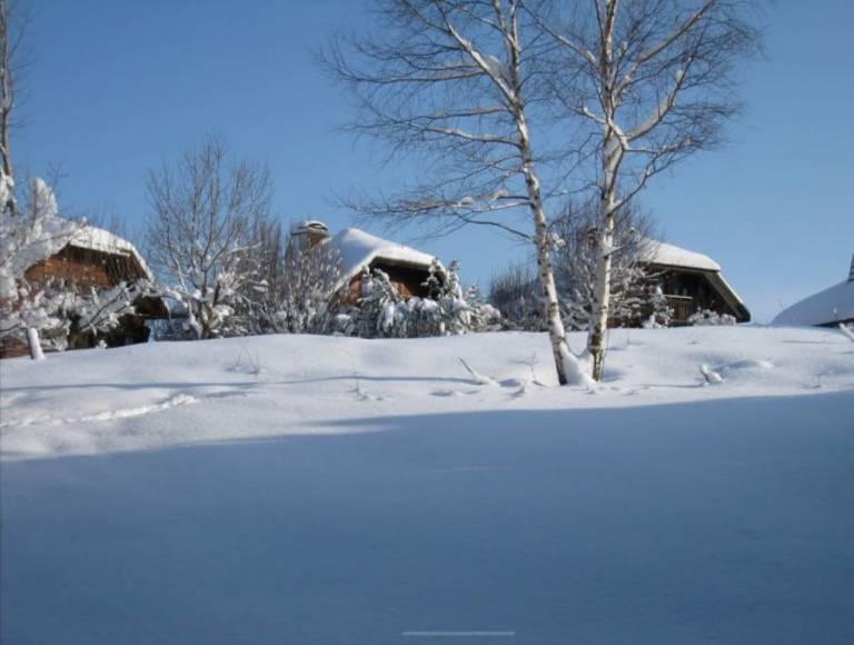 Chalet Thollon-les-Mémises