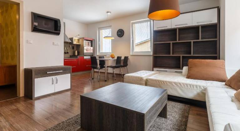 Rental apartment | Pets are welcome in Karlovy Vary