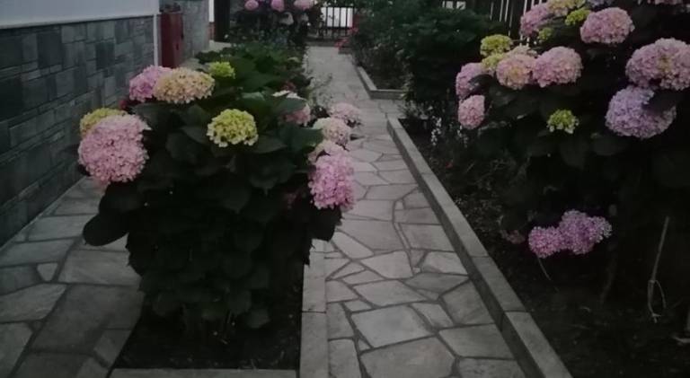 foto33