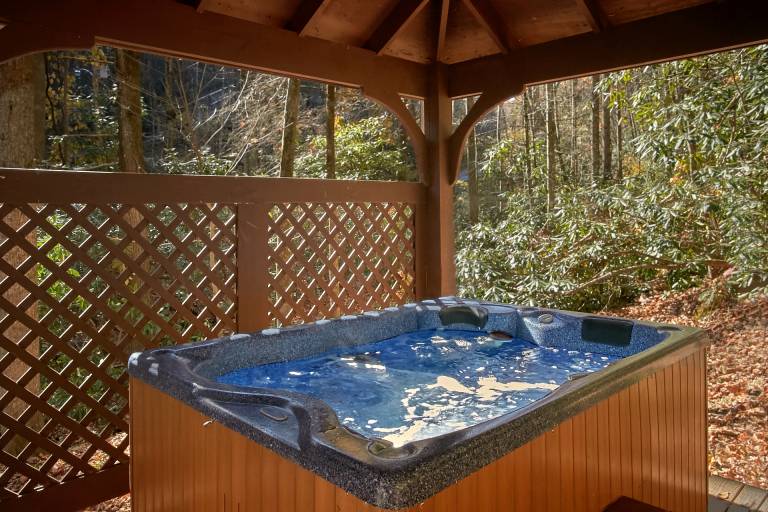 Pet paradise Affordable scenic in Gatlinburg, TN