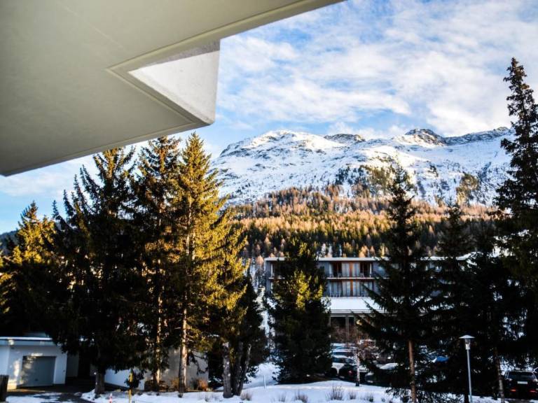 Apartment | Mountain view | Ski nearby | Pets allowed — photo 4
