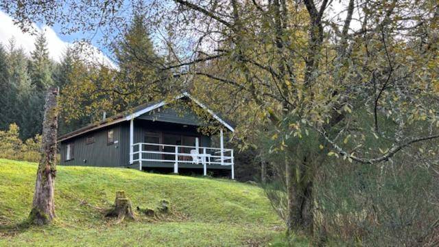 House with grill & sauna in Stirling