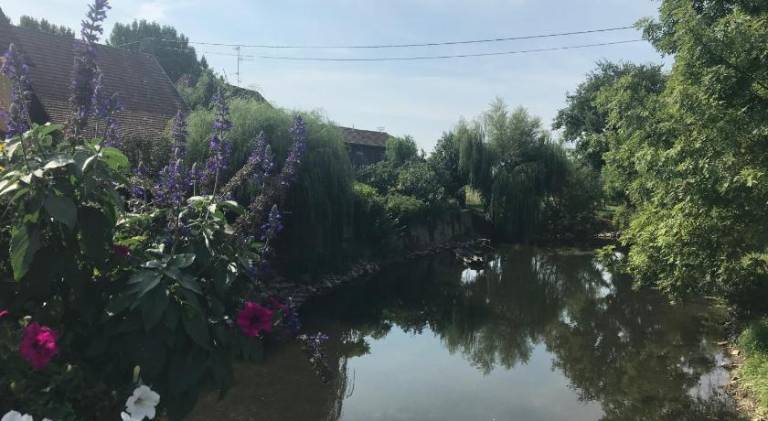 foto15