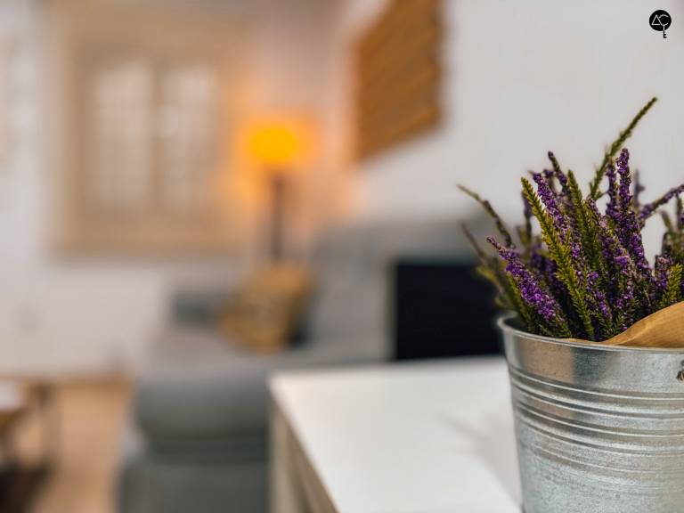 Apartment | Next to Cádiz Cathedral — photo 3