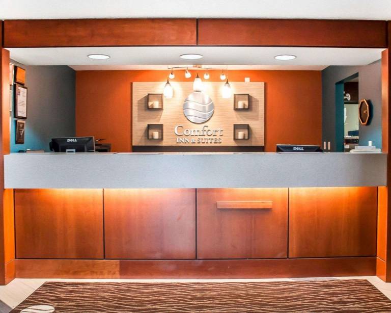 Comfort Inn & Suites Hamburg - Buffalo South — photo 2