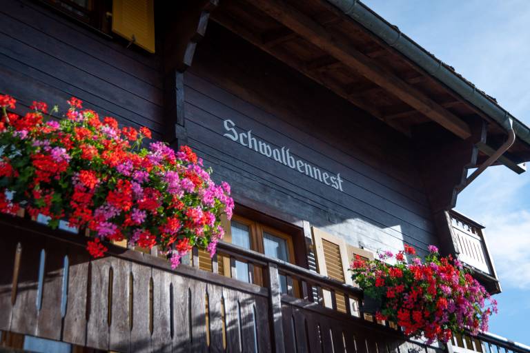 Apartman  Grächen