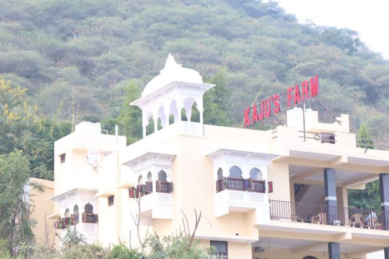 Beautiful bungalow with garden | Dogs allowed in Udaipur