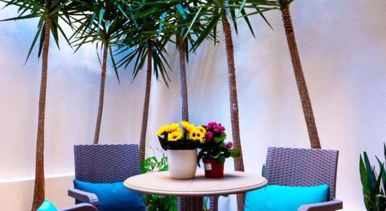 Charming holiday apartment with terrace | Pet-friendly — photo 4