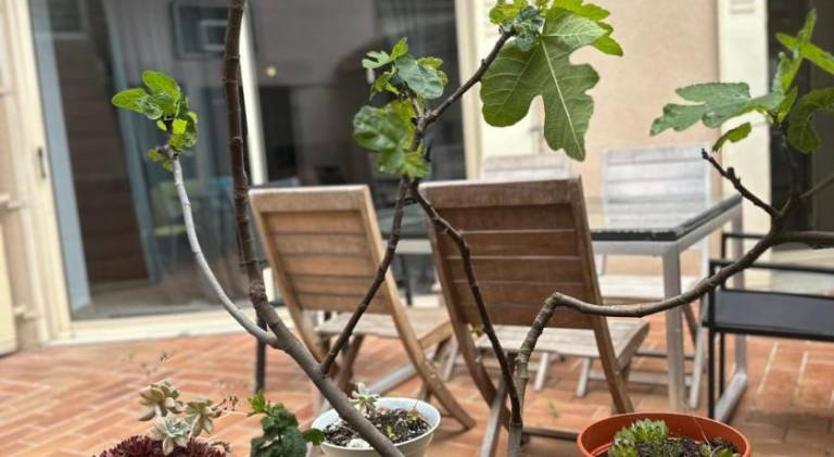 House with barbeque, terrace & hot tub in Bourgoin-Jallieu