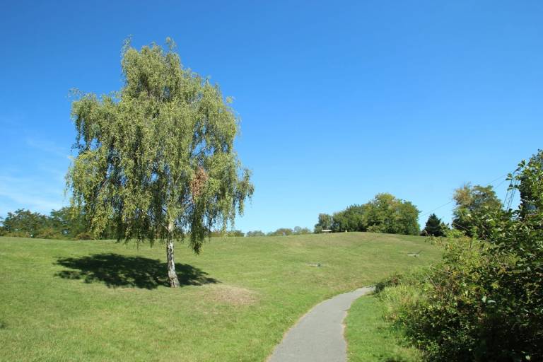 foto14