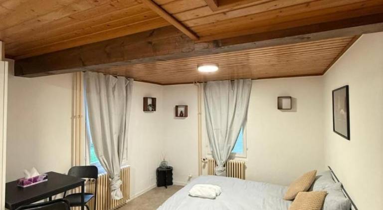 Holiday apartment | Pets are welcome in Lausanne