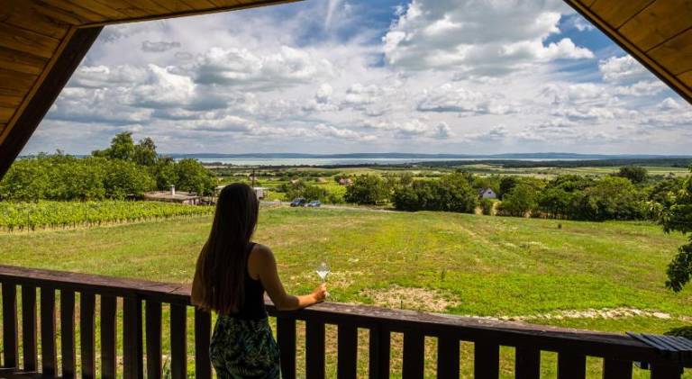 Apartman Monoszló