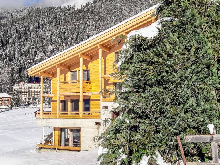 Apartment Bab Port Apt. 03 in Wengen CH3823.8.2 | Interhome