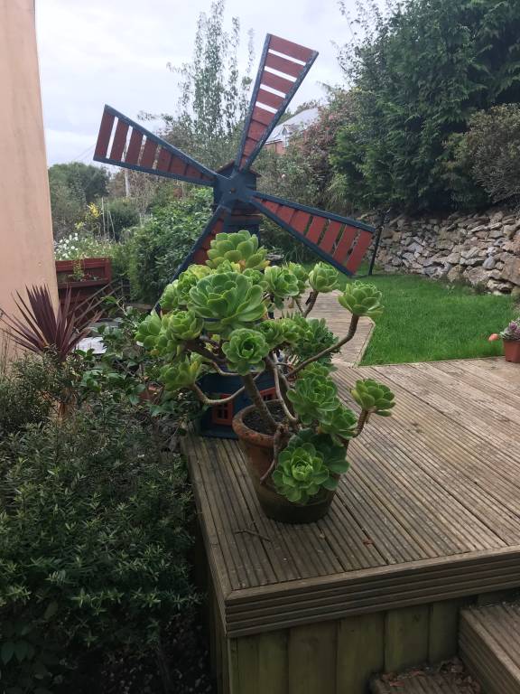 foto17
