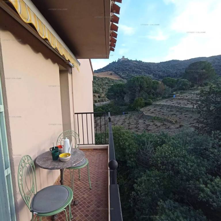 Rental apartment with terrace & pool | Beach nearby | Pets are welcome — photo 5