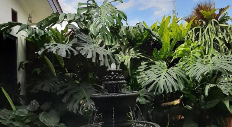 foto42