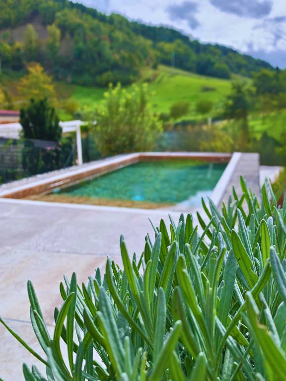 Farmhouse Modigliana