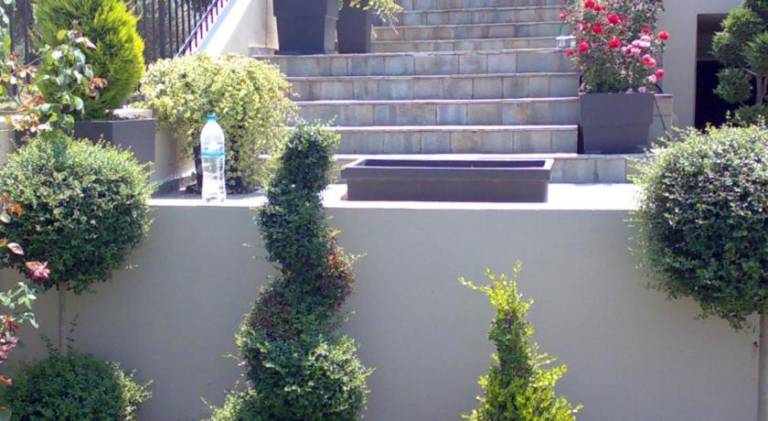 foto16
