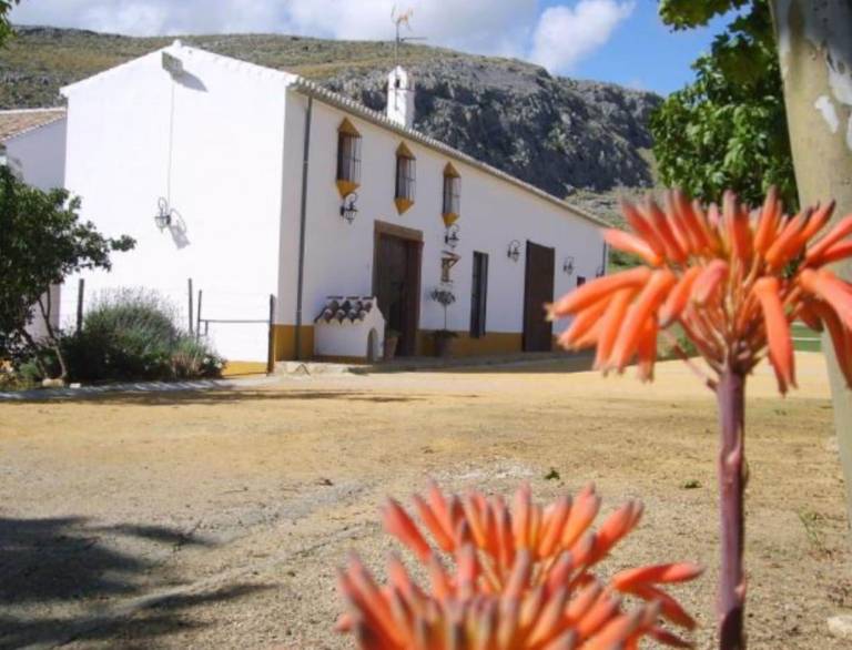 Casa Teba