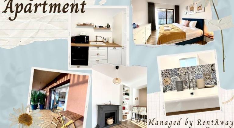Apartment | Pets allowed in Brasov