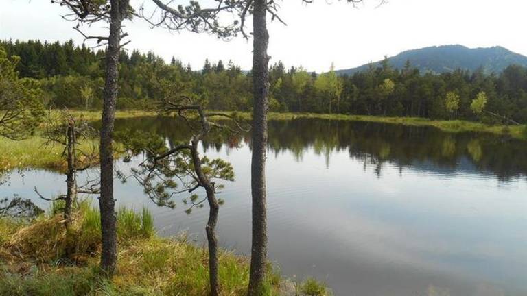 Ferienwohnung Bad Bayersoien