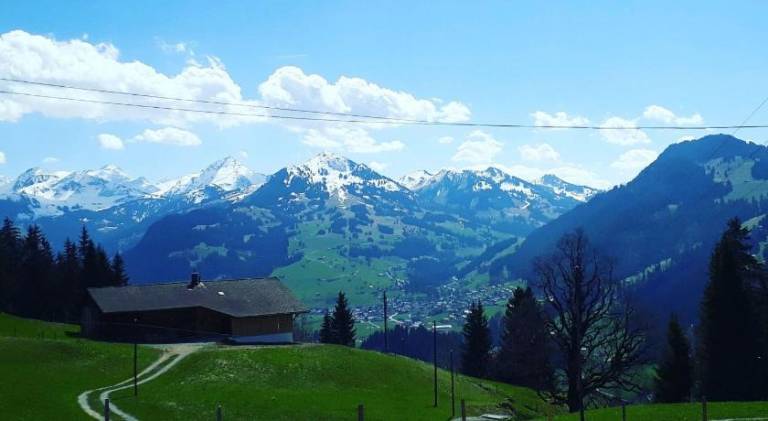 Holiday apartment | Dogs allowed in Zweisimmen
